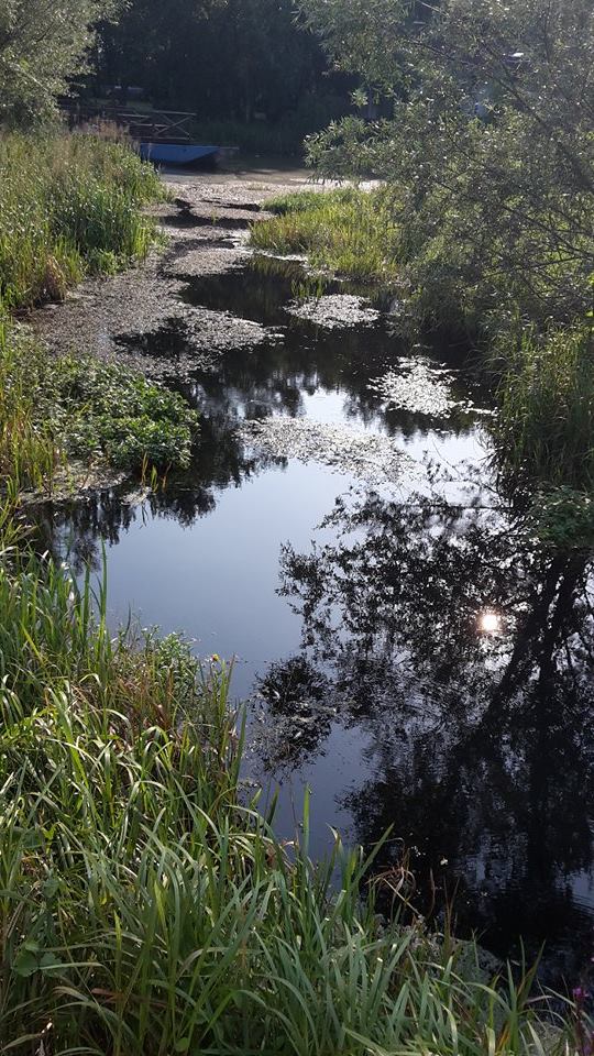 1174928610203225079626682480078