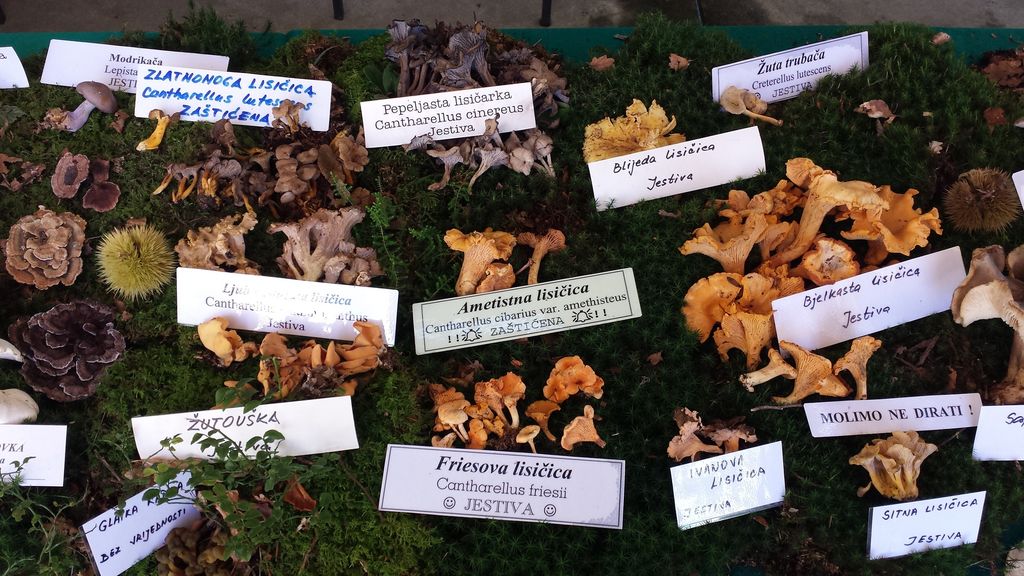 20140928102445596520