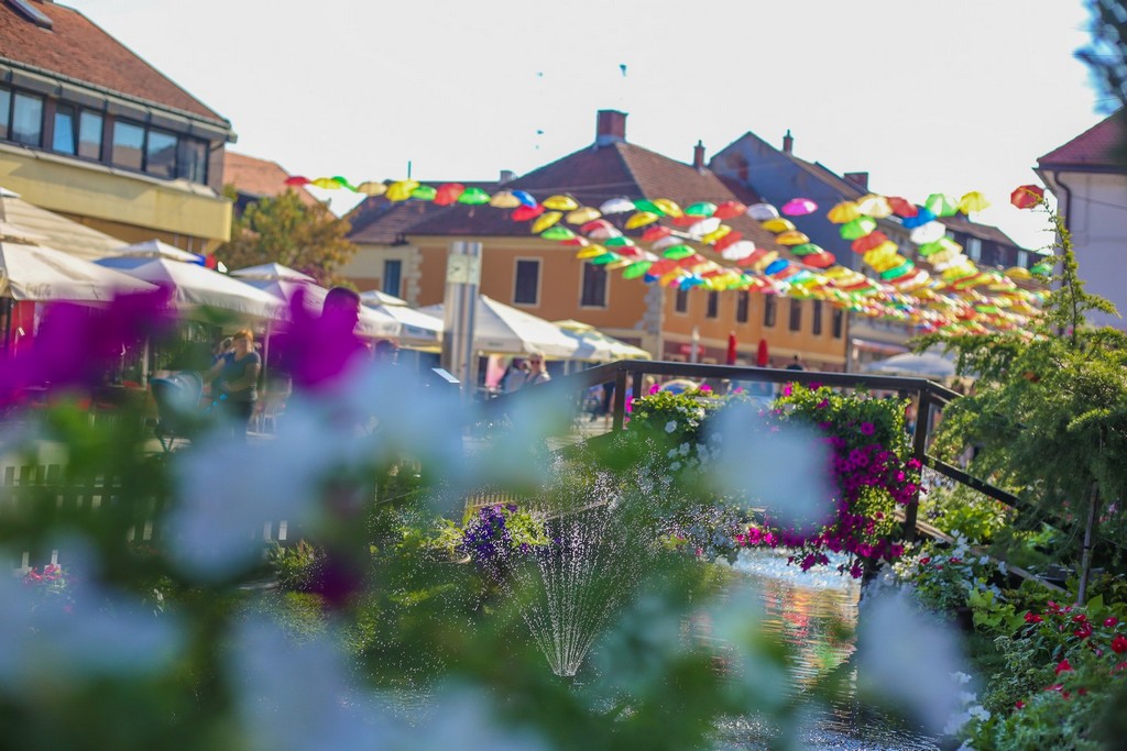 Cvjetne inovacije i ručno izrađeni predmeti ponovno krase centar Čakovca