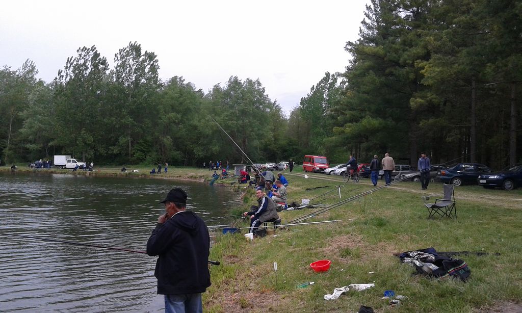 20150501114505218520