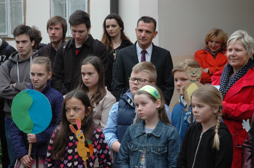 kraljevrodendan7306912