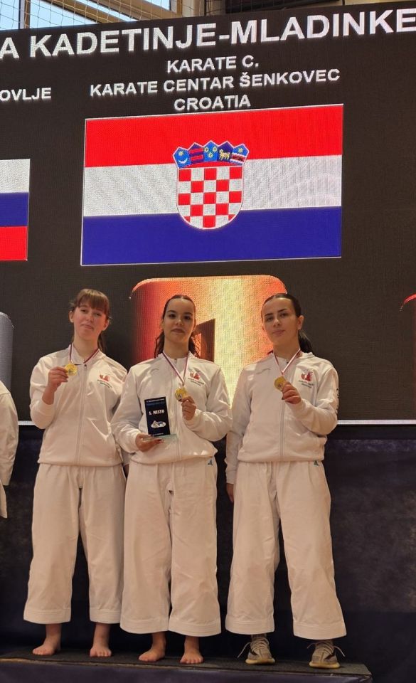 53. Trbovlje open 2, Ekipa