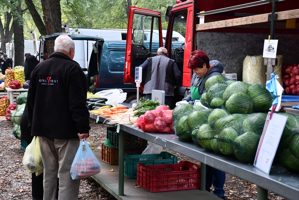FOTO S dolaskom hladnijih dana povećan interes za kupnju drva za ogrjev
