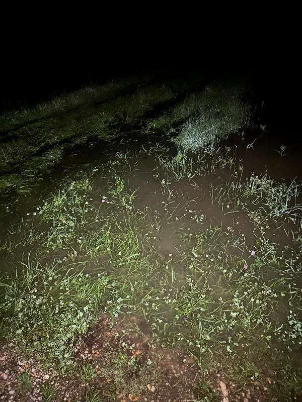 MIKLAVEC DVD Miklavec, DVD Podturen i DVD Sivica zajedničkim snagama gradili nasipe za spas kuća