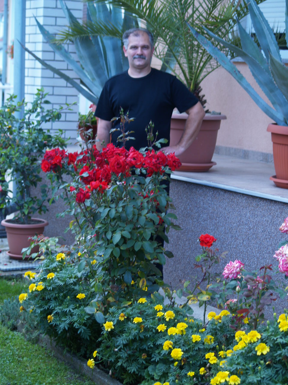 tskodaimanajljepseprozore534879