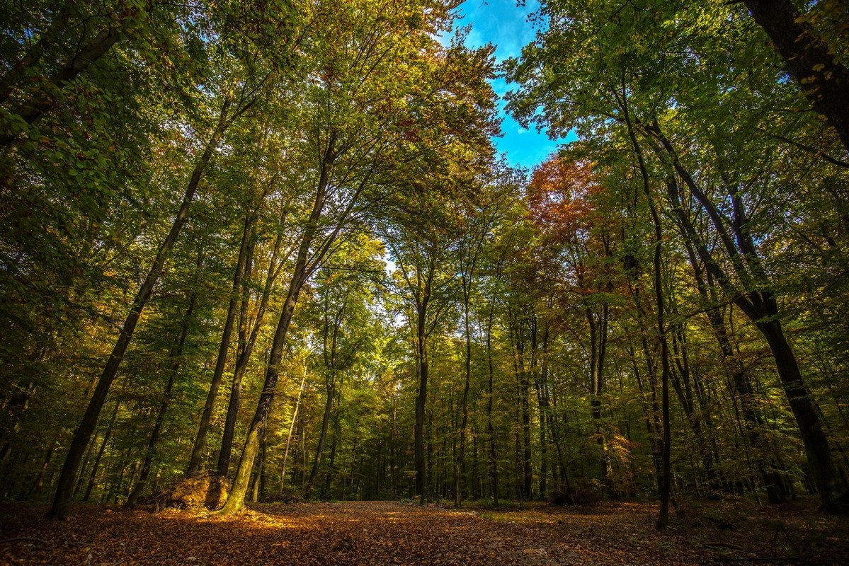 Jesenska rapsodija kroz objektiv Miroslave Novak