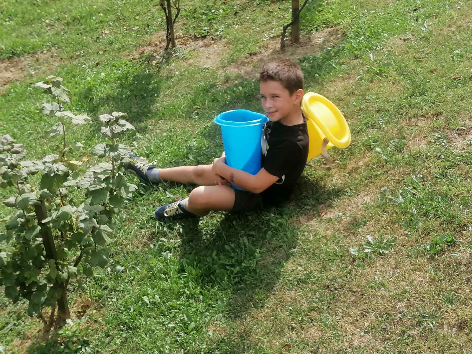 FOTO Berba na Balog bregu: Uz veselo društvo, sve se lako ‘pobere’!
