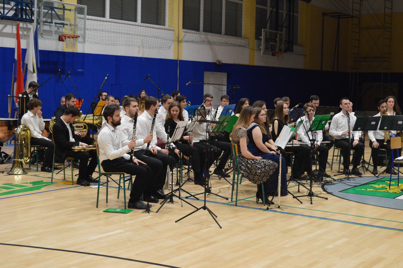 Novogodišnji koncert u Donjem Kraljevcu