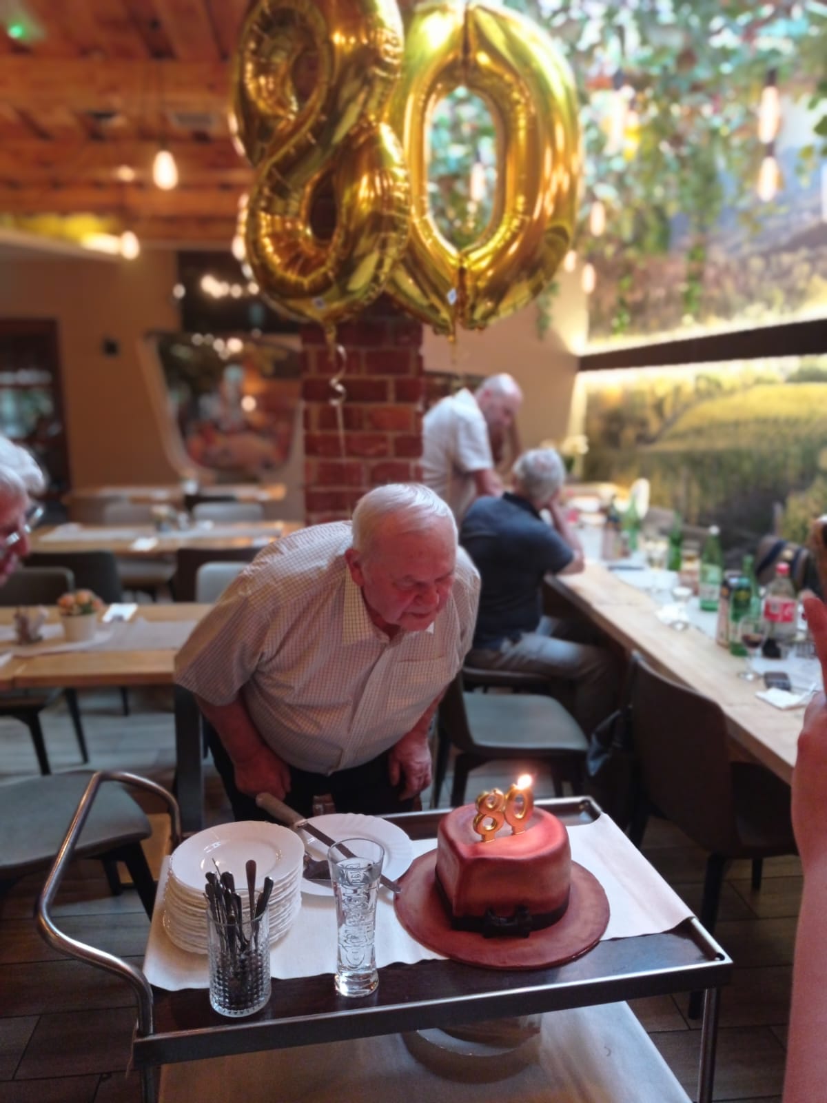 ivo kranjčec, 80 godina, belica