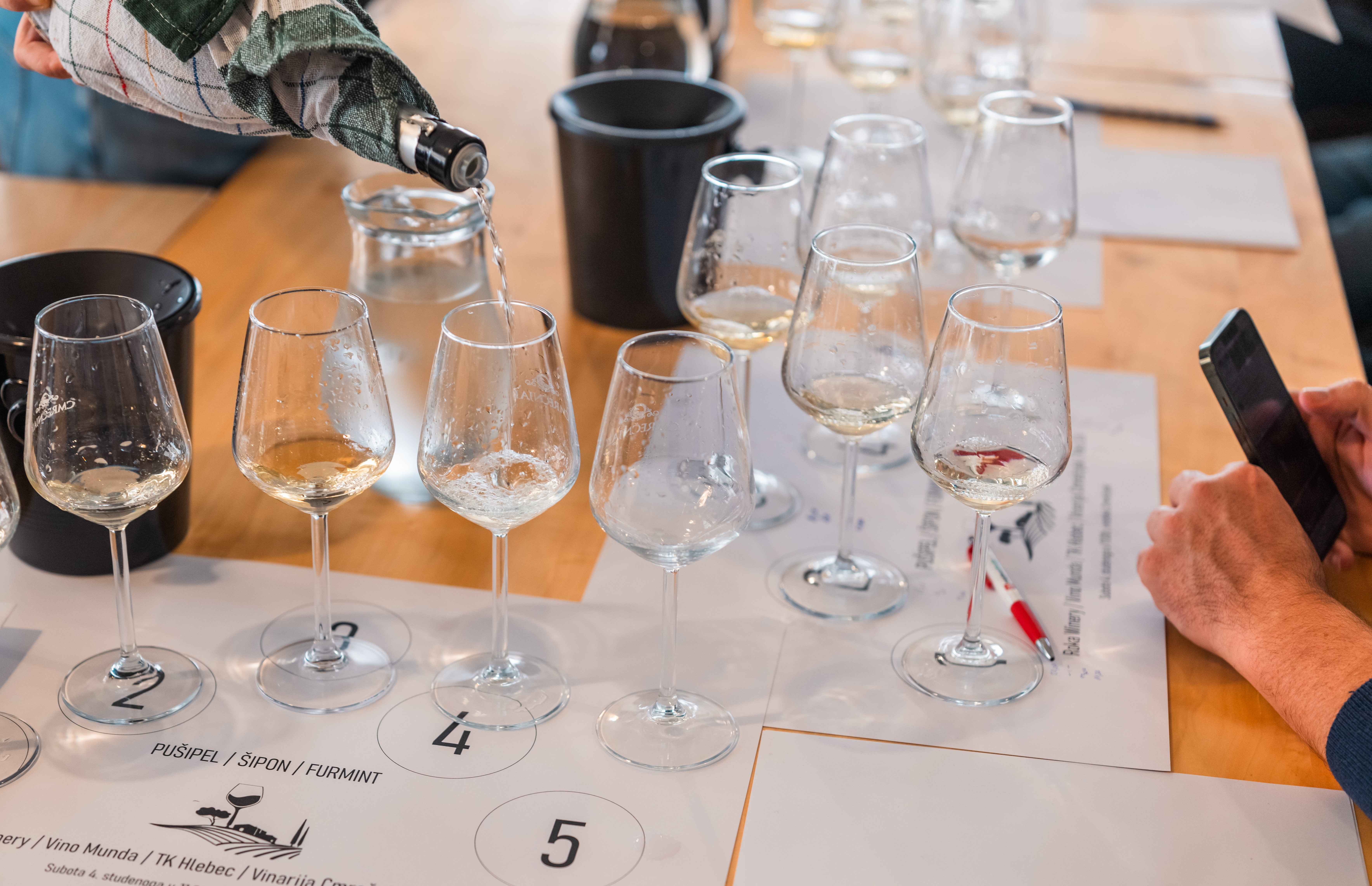 VRHUNSKA DEGUSTACIJA Pogledajte kako je bilo na međunarodnoj radionici vina