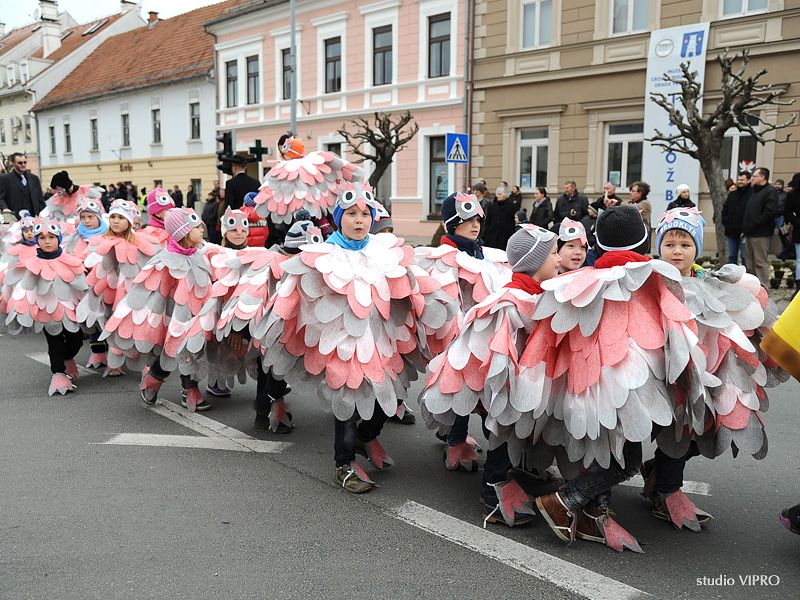 333614264dsc3414373888