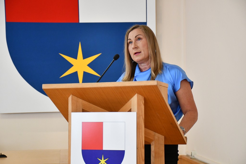 Sjednica Županijske skupštine