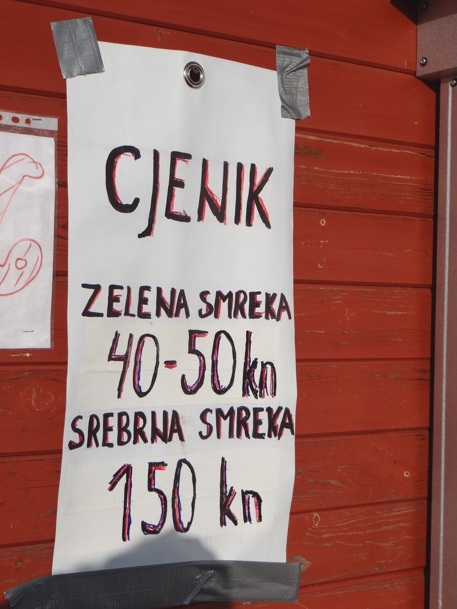 Provjerili smo cijene božićnih drvaca u Međimurju: Ponuda iz godine u godinu sve bogatija Provjerili smo cijene božićnih drvaca u Međimurju: Ponuda iz godine u godinu sve bogatija