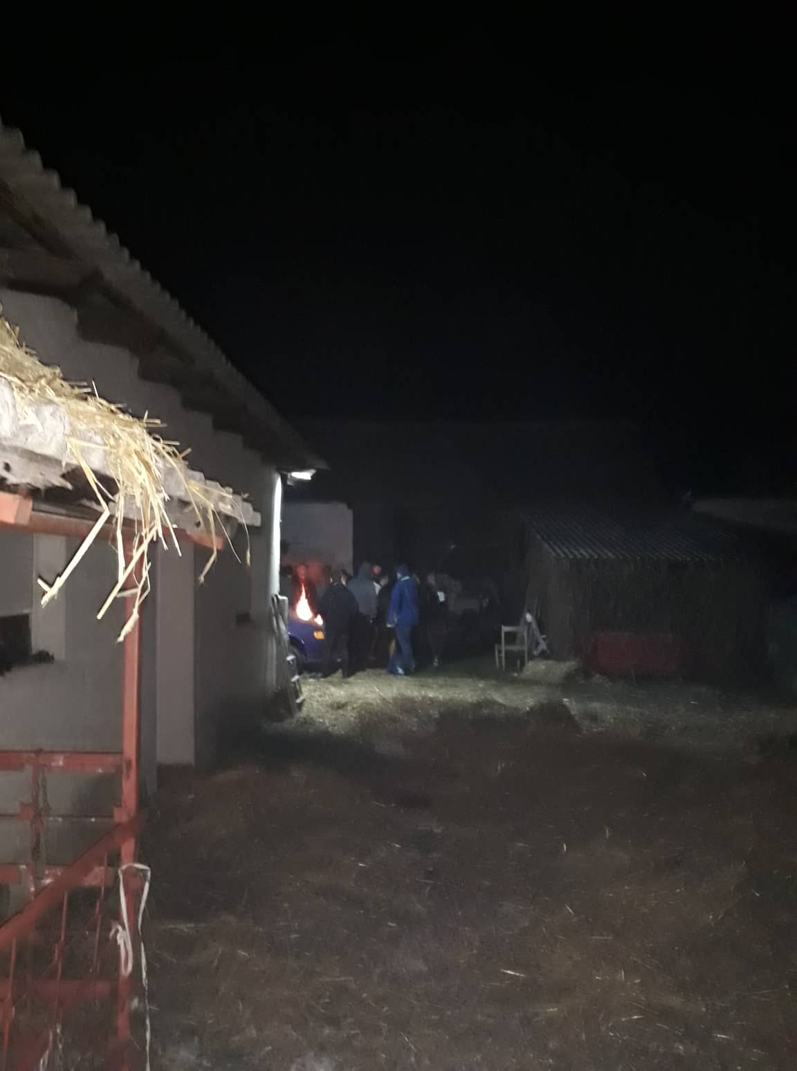 VIDEO I FOTO Potepanje u Savskoj Vesi: Zaručili su se Ksenija i Josip!