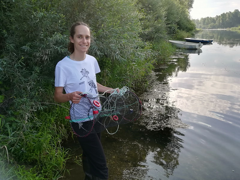 Siniša Golub – ravnatelj Međimurske prirode