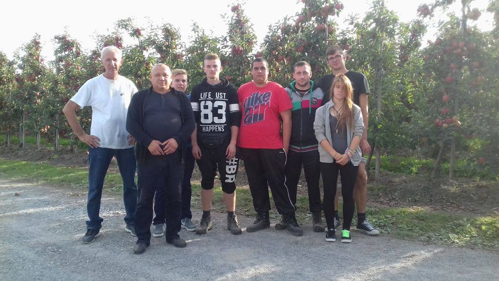 1446697911229596077851082062600