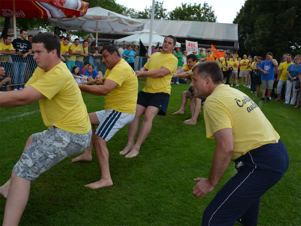 selskefinale072014f594177