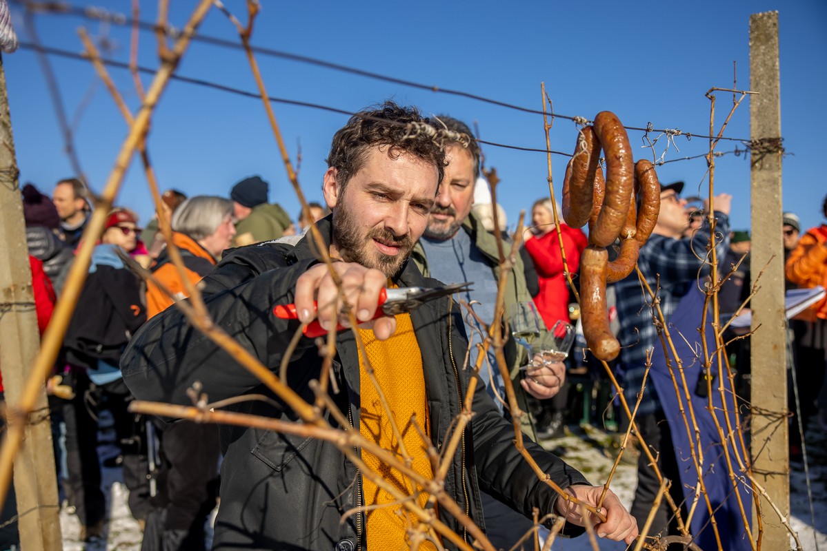 Vincekovo 2024., Štrigova Vincekovo 2024., Štrigova