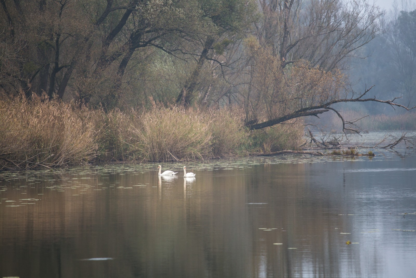 Međimurje se predalo jeseni