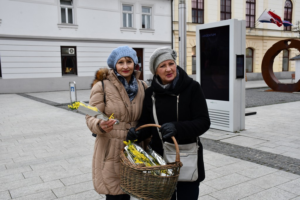 Dan mimoza u Čakovcu