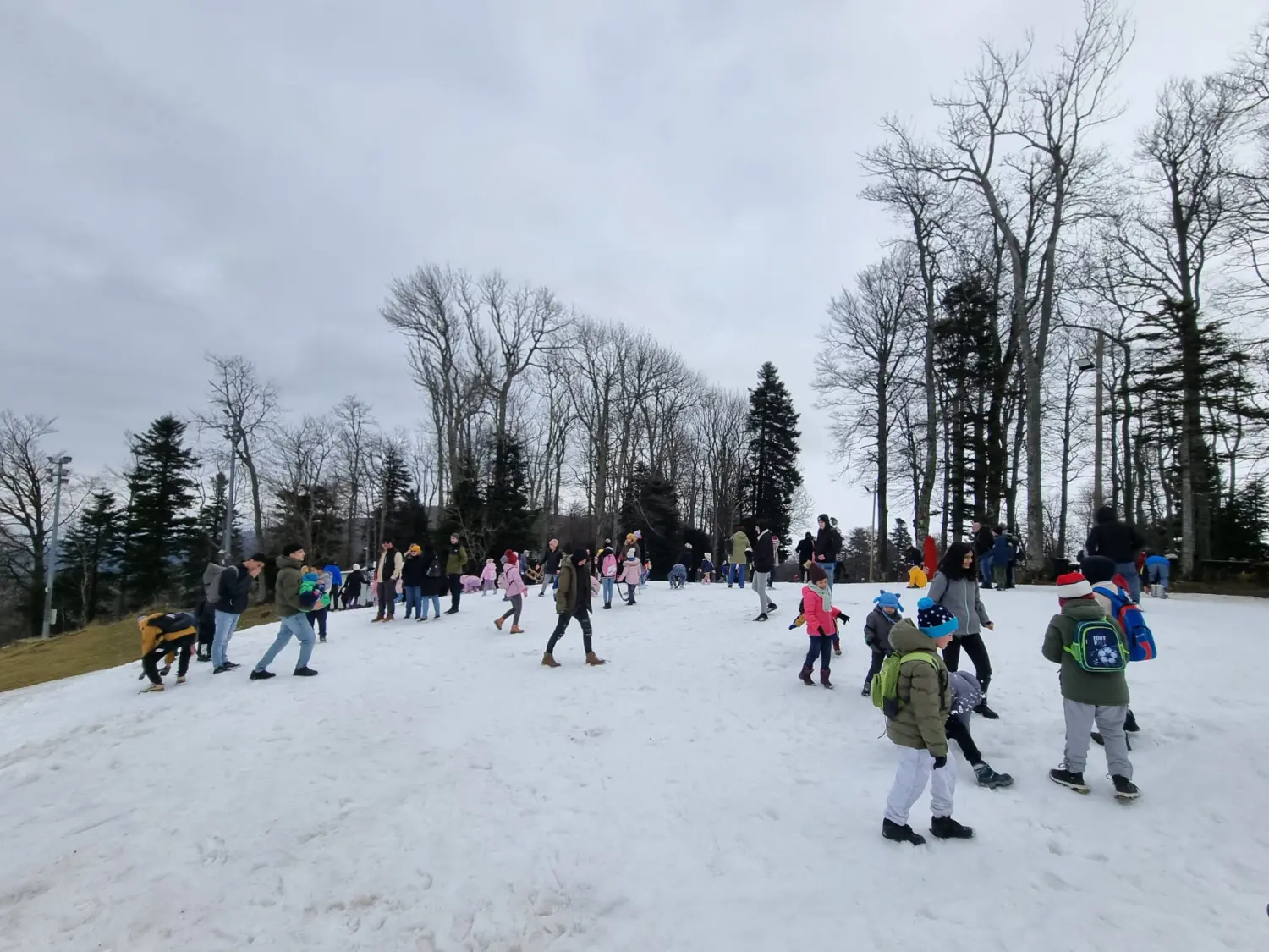 549d92f3-a5ac-4357-9ed2-6d45882260e1 549d92f3-a5ac-4357-9ed2-6d45882260e1