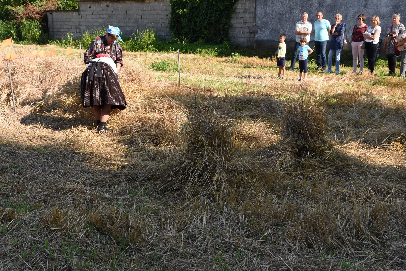 Mamičina žetva u Pušćinama