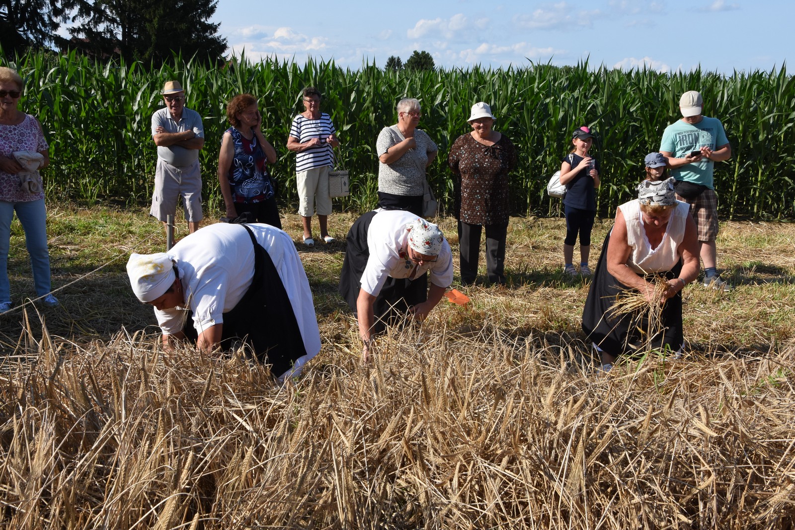 Mamičina žetva u Pušćinama