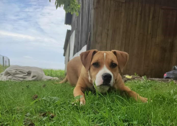 553186353_780627471634127_7305280804838352456_n 22