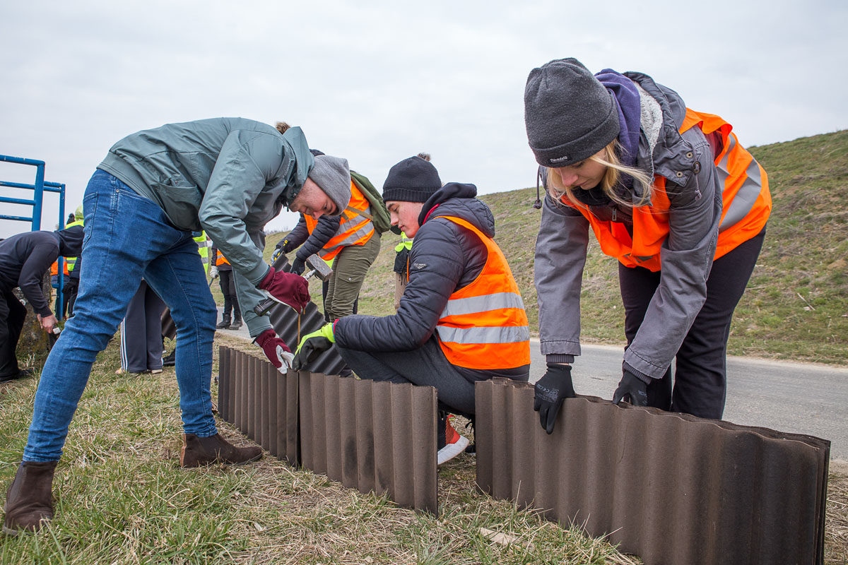 Akcija spašavanja vodozemaca