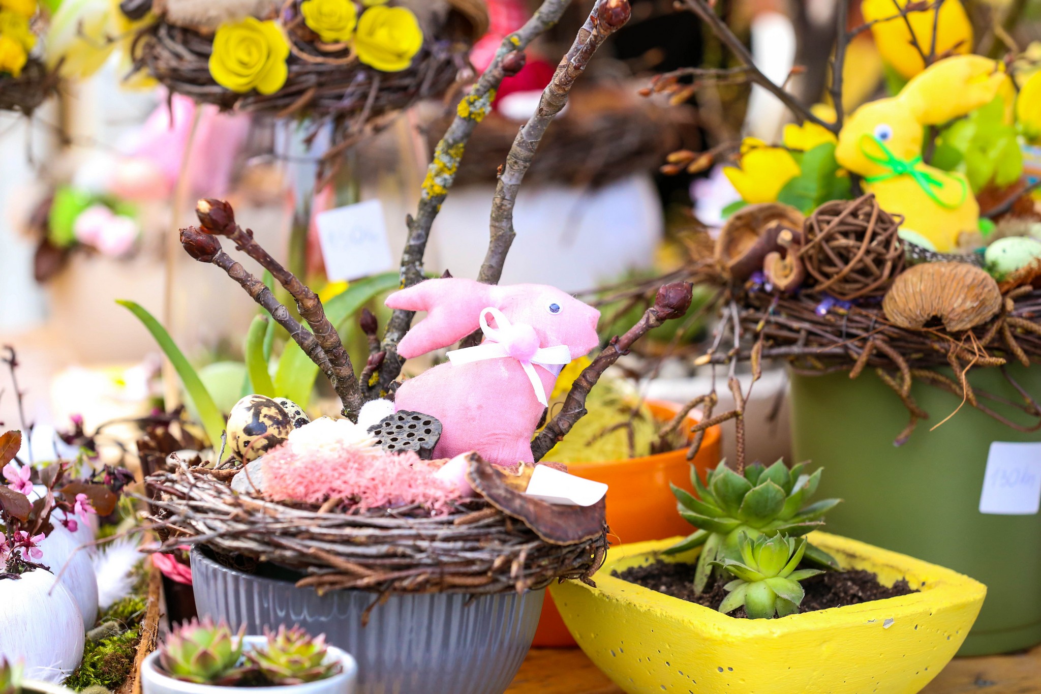 Udruga za sindrom Down Međimurske županije u centru Čakovca