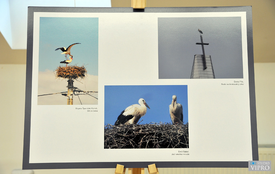 U Prelogu održano predavanje i otvorena izložba o bijeloj rodi