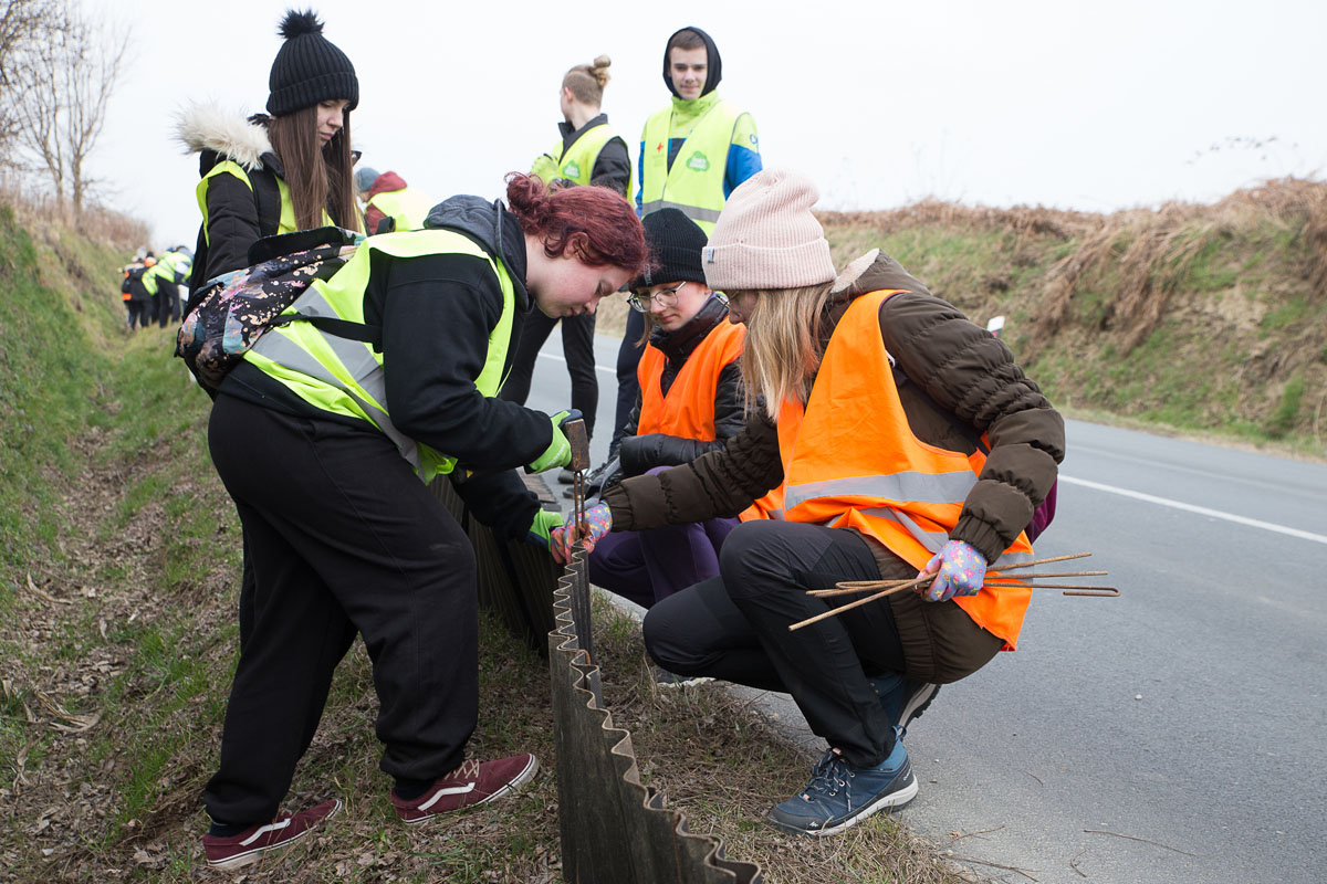 Akcija spašavanja vodozemaca