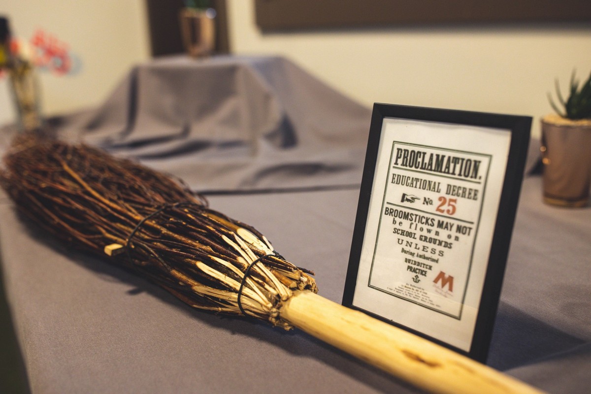 Harry Potter vječanje Harry Potter vječanje