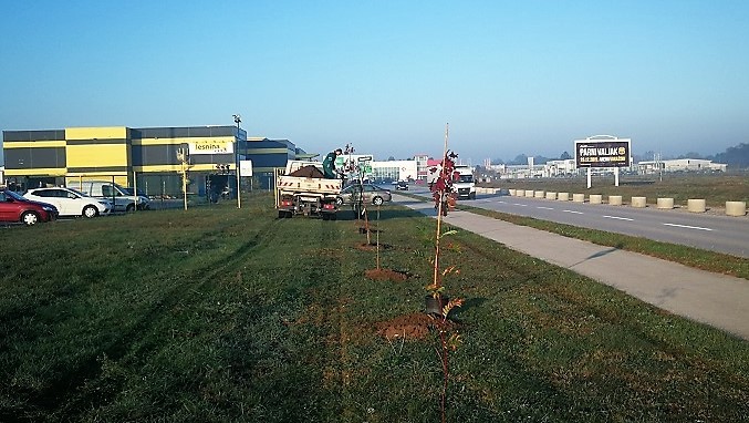 FOTO Velik broj građana subotnje prijepodne iskoristio za sadnju stabala u Čakovcu