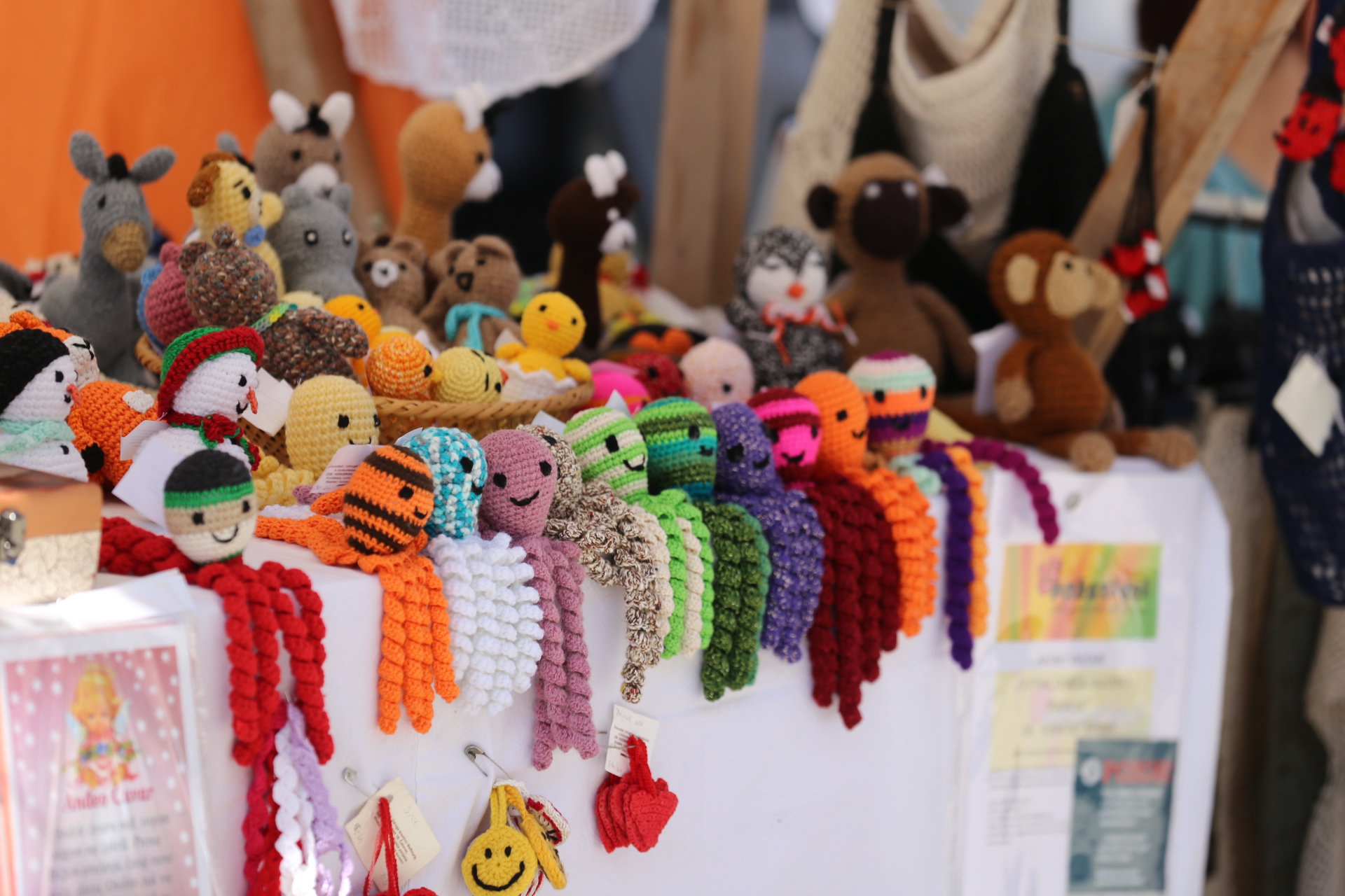 Festival cvijeća, jagoda i tradicije