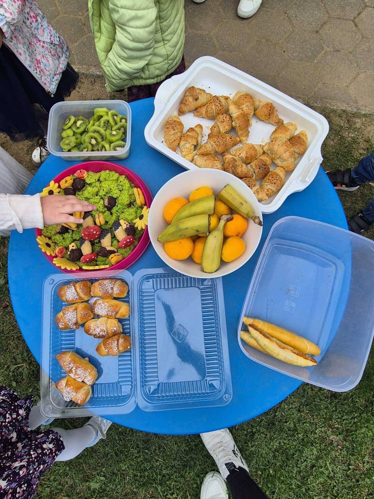 Dječji vrtić Mala tratinčica Podturen