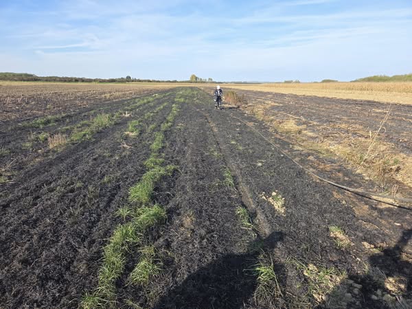 DVD Cirkovljan požar DVD Cirkovljan požar