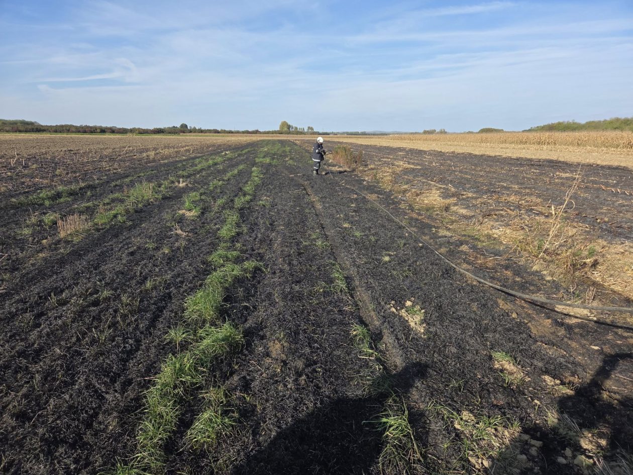 DVD Cirkovljan požar