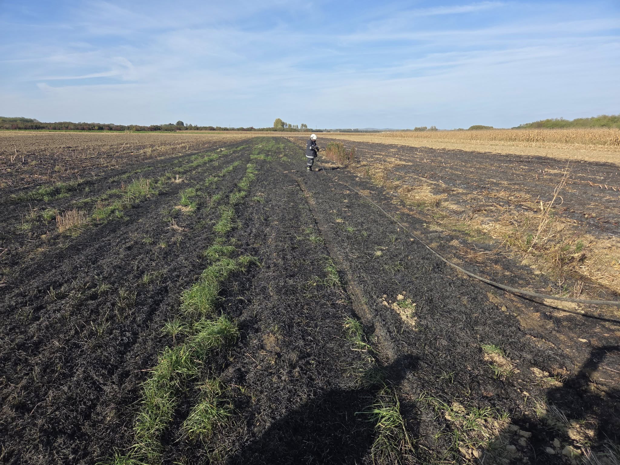 DVD Cirkovljan požar DVD Cirkovljan požar