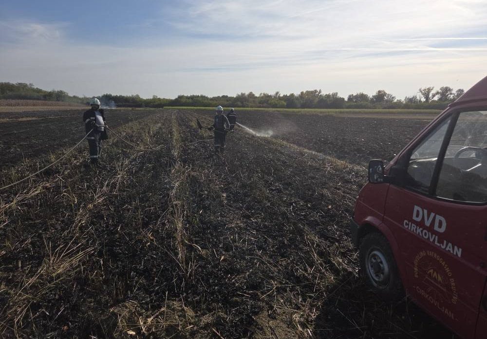 DVD Cirkovljan požar DVD Cirkovljan požar