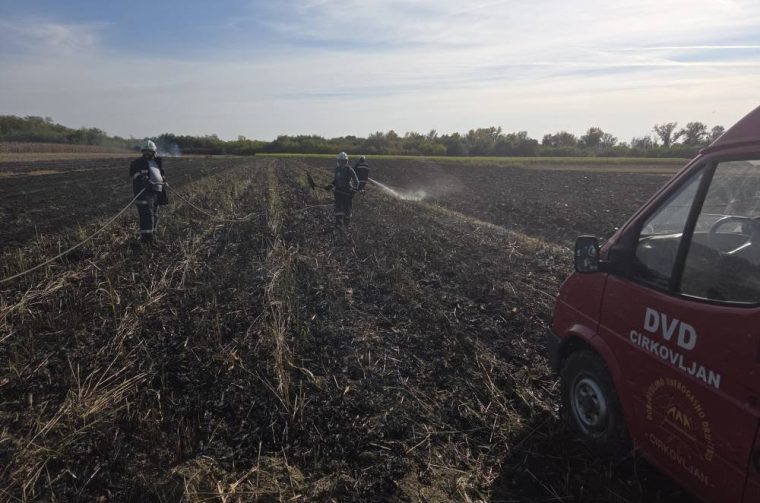 DVD Cirkovljan požar