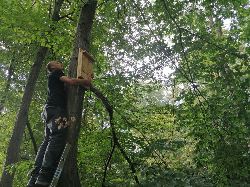 Moderan hotel za korisne kukce u Perivoju Zrinski prima prve goste!