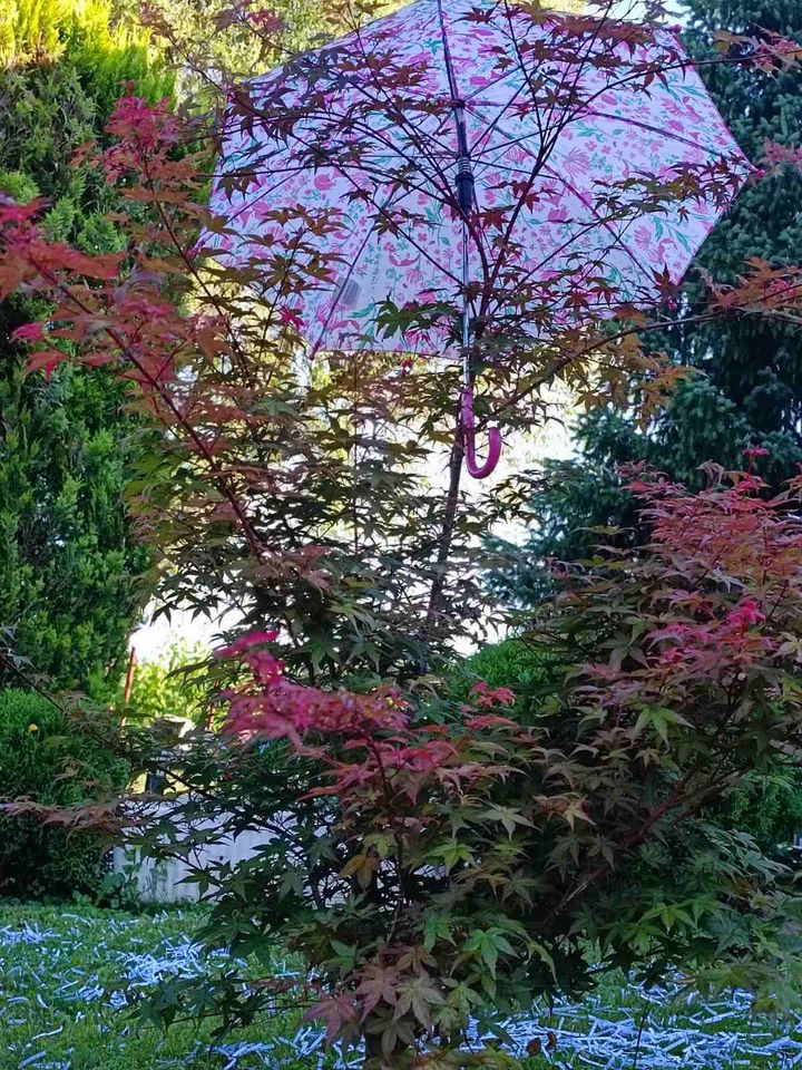 Potepanje za Maju i Matiju