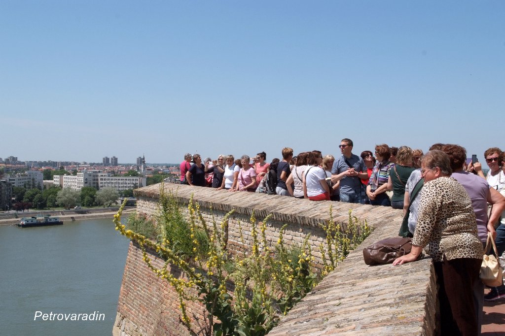 vojvodina062016b681714