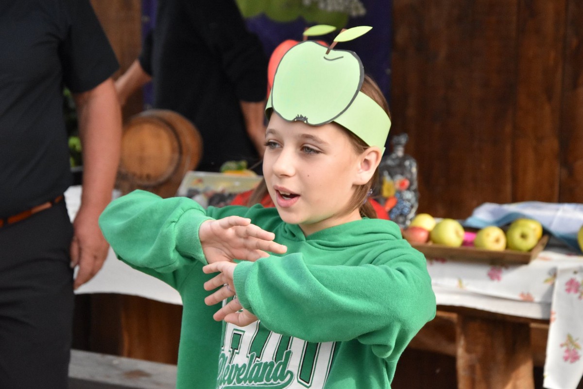 FOTO Ukusne i zdrave jabuke, zakuska i zabavni program za posjetitelje Izložbe starih i novijih sorti jabuka FOTO Ukusne i zdrave jabuke, zakuska i zabavni program za posjetitelje Izložbe starih i novijih sorti jabuka