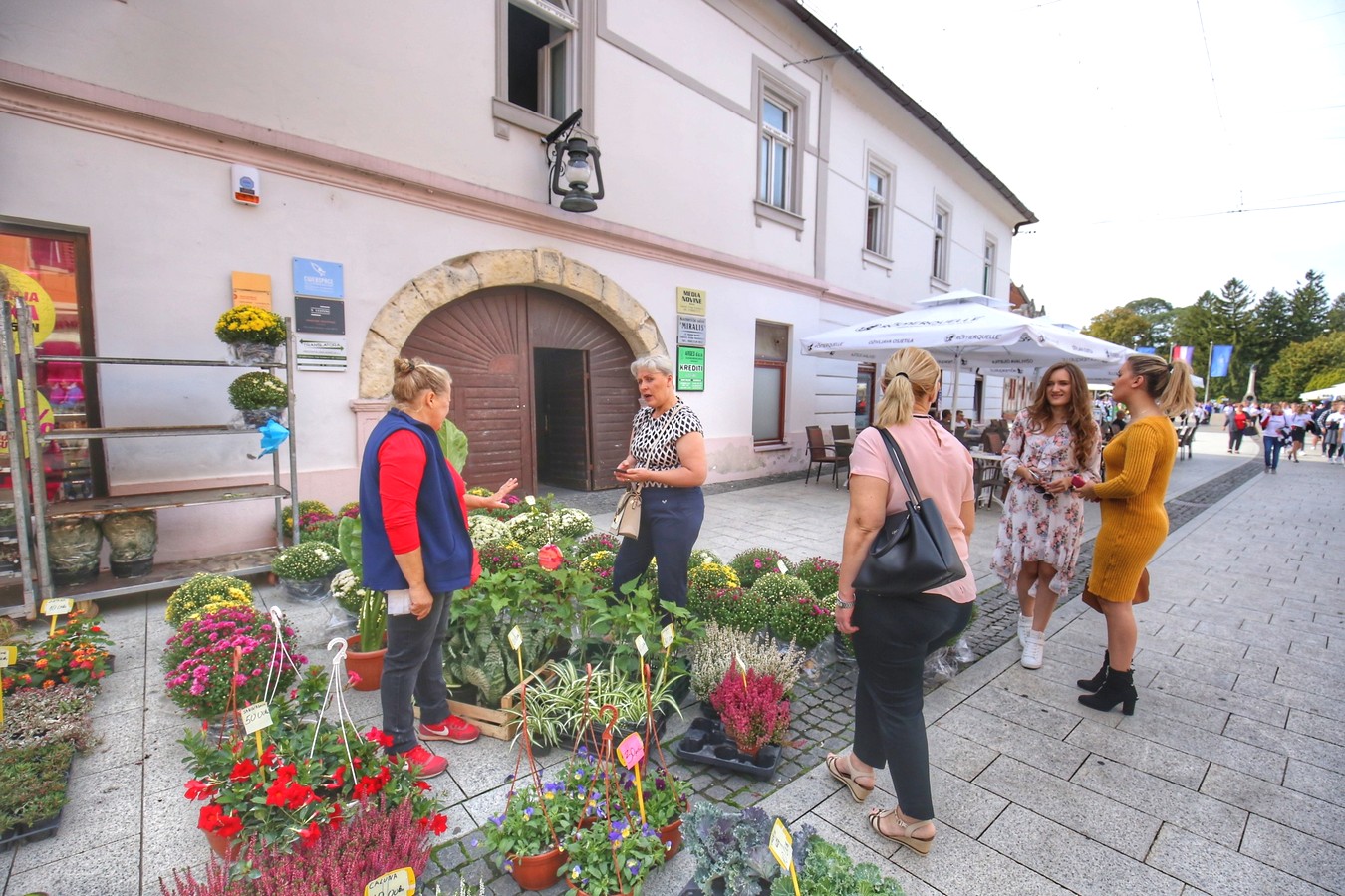 JESEN U GRADU ZRINSKIH Čakovec ‘obukao’ predivno jesensko ruho