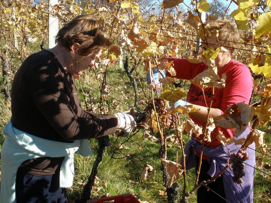 berbajakopiopic497688