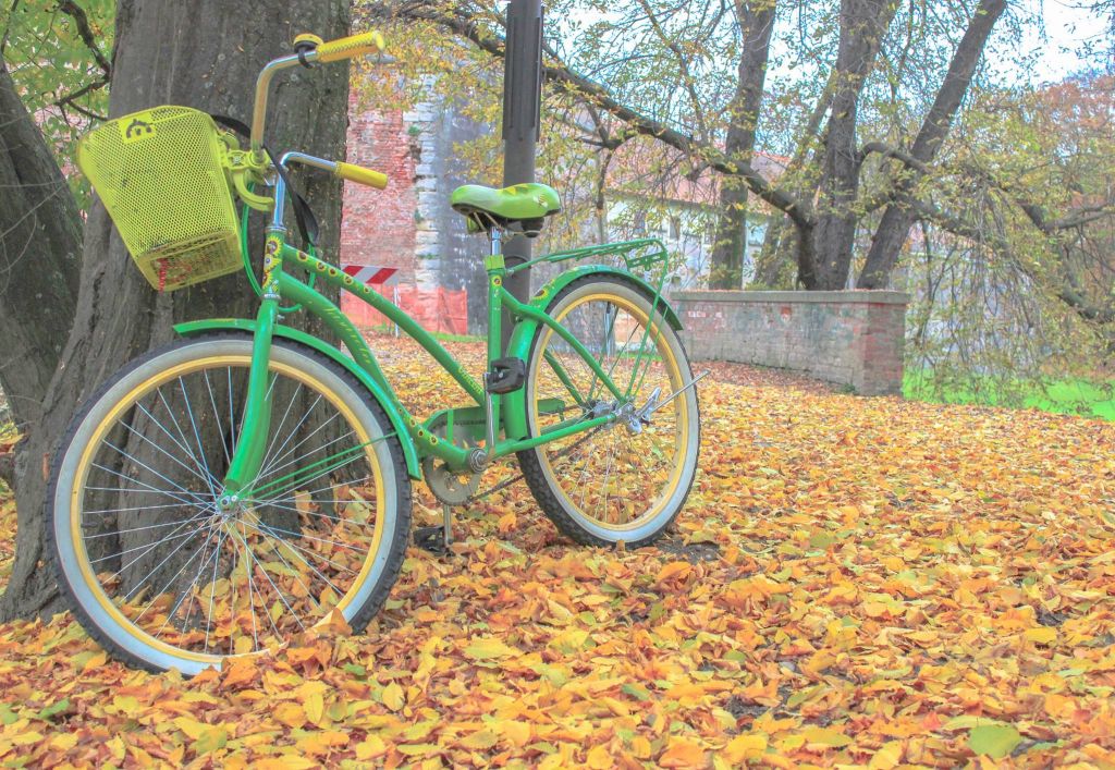 9059691020712406203688681010557