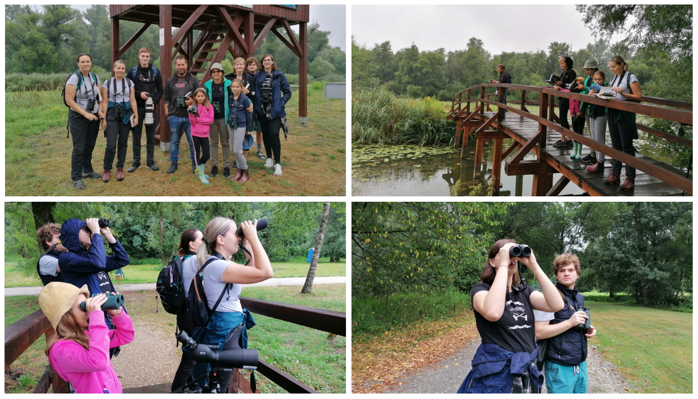 MEĐIMURSKA PRIRODA Ptičari tijekom dva sata opazili više od dvadeset ptičjih vrsta