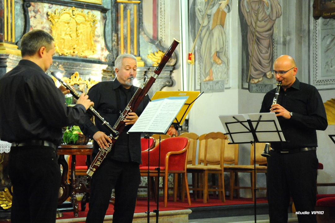 314813278dsc6042343711